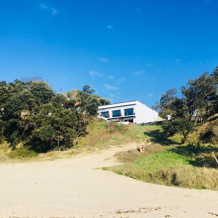 Chambre D'Hote Le Dauphin Bed & Breakfast Meschers-sur-Gironde Dış mekan fotoğraf